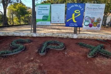 Foto - Implementado canteiro de paisagismo sustentável na Escola Estadual São Pio X