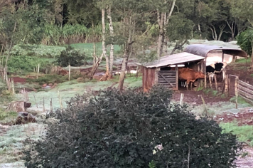 PRIMEIRA GEADA RIGORASA DO ANO TRANSFORMA A PAISAGEM.