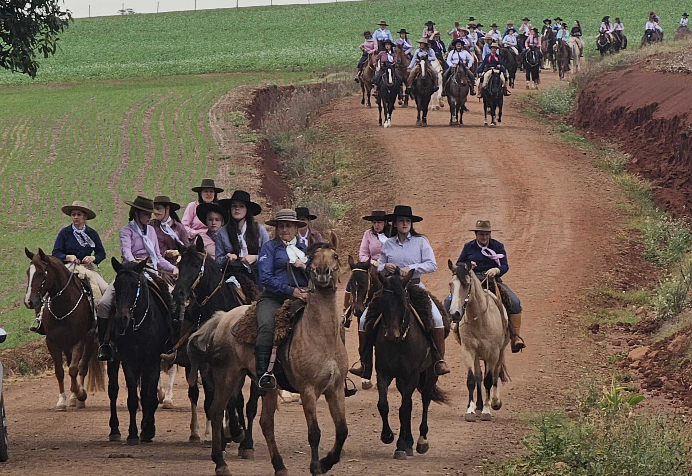 Uma tradição que vai desde a Pilcha até o Chimarrão.