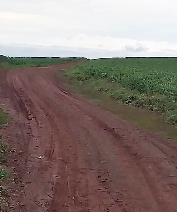 Estradas rurais têm boas condições apesar das chuvas